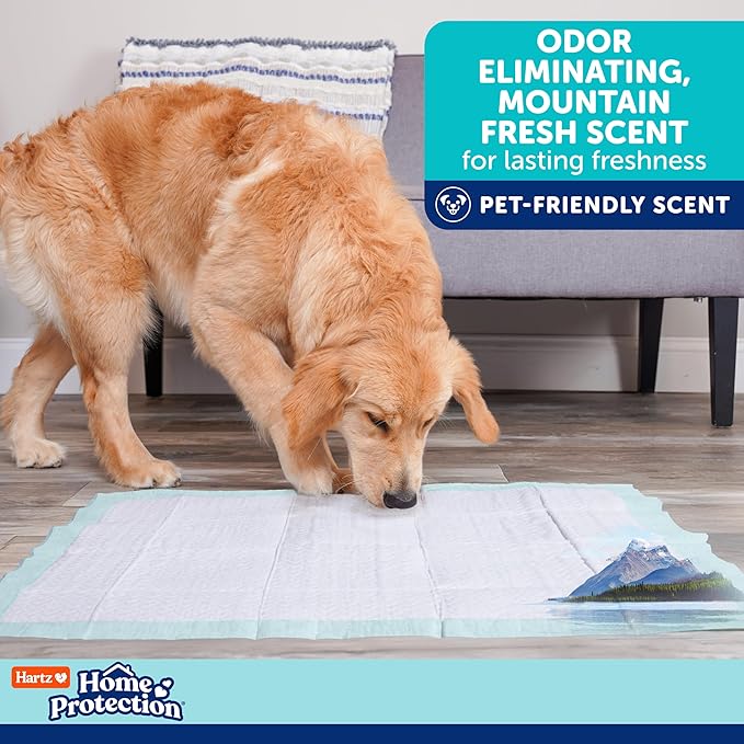 Hartz Home Protection Super Absorbent Odor Eliminating Mountain Fresh Scented No Leak Dog Pads, XXL 20 Count