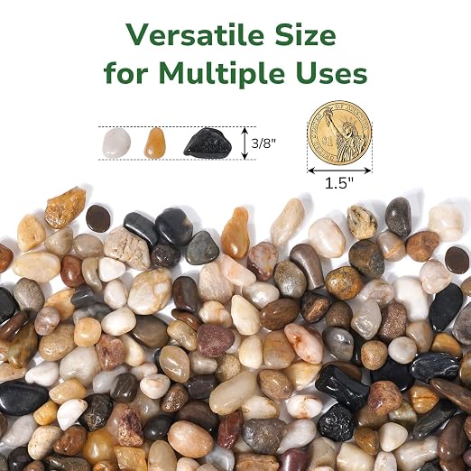 GreatBuddy 2.5-lb Pebbles for Indoor Plants, 3/8" Pea Gravel for Vases, Small Rocks for Succulents, Fish Tanks, Aquariums, Terrarium, Drainage Pebbles for Potted Plants, River Rocks for Landscaping