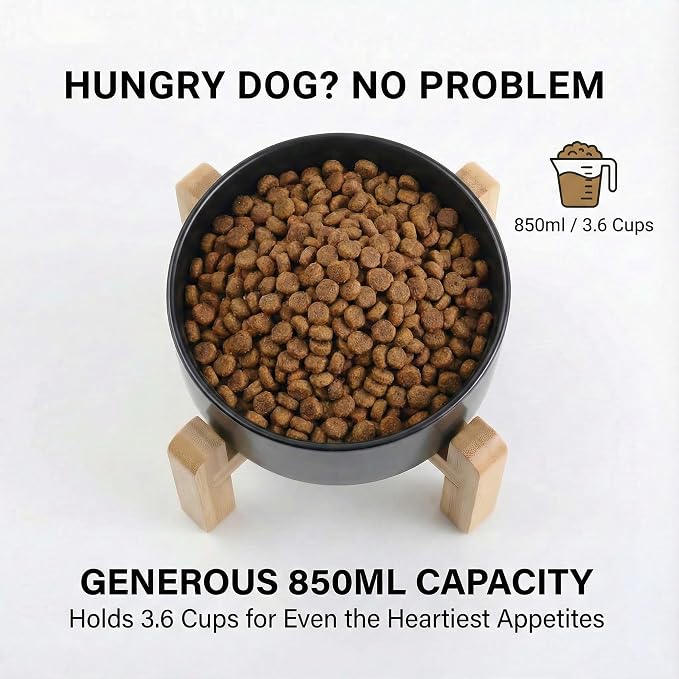 hjn Elevated Ceramic Dog Bowl/Raised Ceramic Dog Bowls with Bamboo Stand, 15°Slanted Raised Pet Feeder for Small Medium Dogs and Cats, Non-Slip Heavy Weighted Design (Black, 3.6Cup)