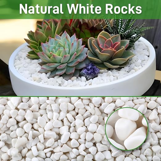 Mulctun 12Lb White Rocks for Plants, 1/4"-3/4" White Pebbles, Decorative Stones for Vases, Small Aquarium Gravel for Fish Tank Garden Rocks for Potted Plants & Home Decor