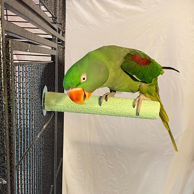 Polly's Pastels Nail Trimming & Beak Conditioning Safety Perch for Cockatiels, Cockatoos, Macaws, Parakeets, Budgies, Parrots and All Other Birds (Green, Medium-1 1/4" Dia. x 8" Long)