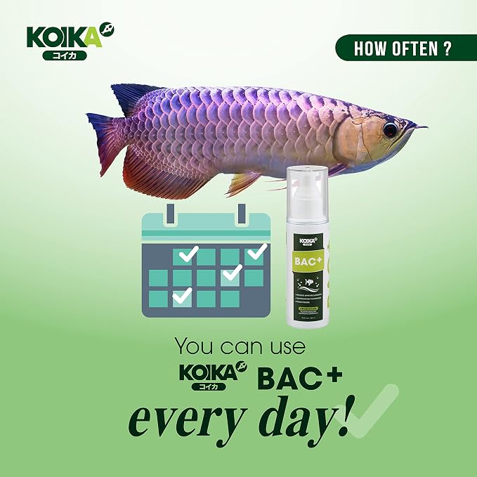KOIKA BAC+ Aquarium Probiotics for Fish & Shrimp – High-Density Beneficial Bacteria, Immunity Boosting, Disease Resistance & Digestive System Support (105ml)