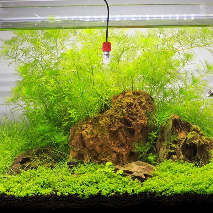 Compact Aquarium Heater 15w USB Mini Fish Tank Heater with Quartz Tube and Dual Temperature Display for Tropical Fish and Turtle in Marine and Planted Tanks to 4l