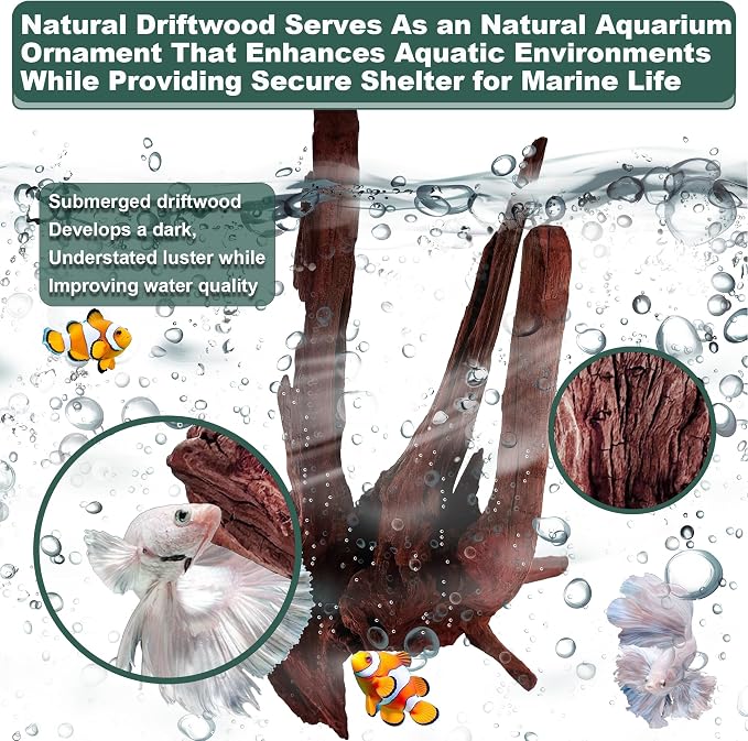 Natural Wood Driftwood for Aquarium Fish Tank Decor,Assorted Driftwood Trunk Branch for Reptile Tank Decor (MOP-ZYM Driftwood+Branch (8 to12 Inch)-Pack of 2)