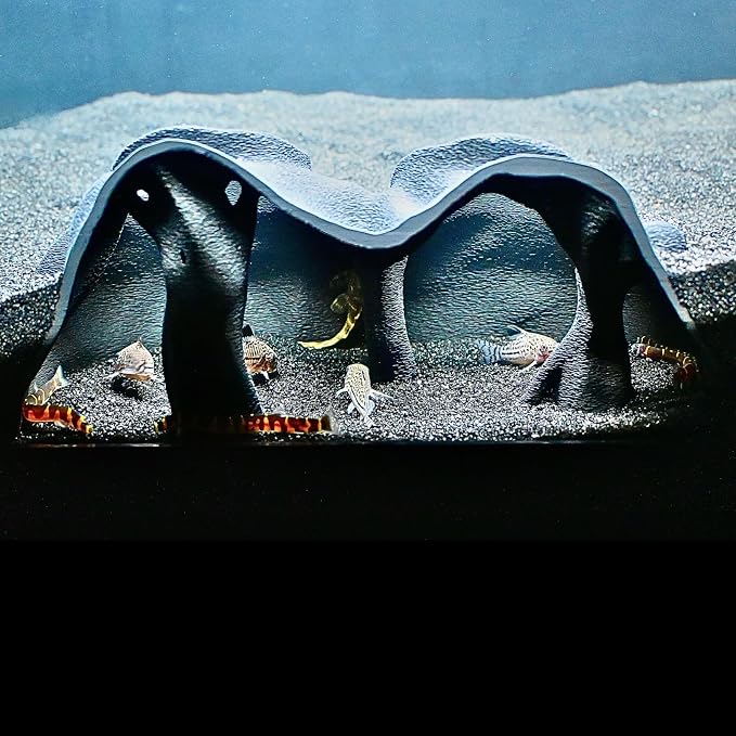 Aquarium Underground Cave Natural Mangrove Tree | Viewing Fish Under Gravel Tunnel Hide | Fish Tank Hideout Decor Decoration Enrichment for Corydora Catfish, Kuhli Loach, Clown Loach, Pleco, Betta