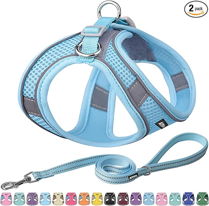 AIITLE Step in Dog Harness and Leash Set - No Pull Escape Proof Vest Harnesses with Soft Mesh and Reflective Bands, Adjustable Pet Outdoor Harnesses for Small and Medium Dogs Pure Blue M