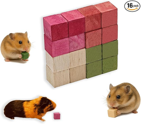 Fruit-Infused Balsa Wood Chew Toys, 16PCS Strawberry Orange and Pitaya Molar Blocks for Hamsters, Guinea Pigs and Chinchillas, 0.8 Inch Natural Small Animal Teeth Grinding Treats