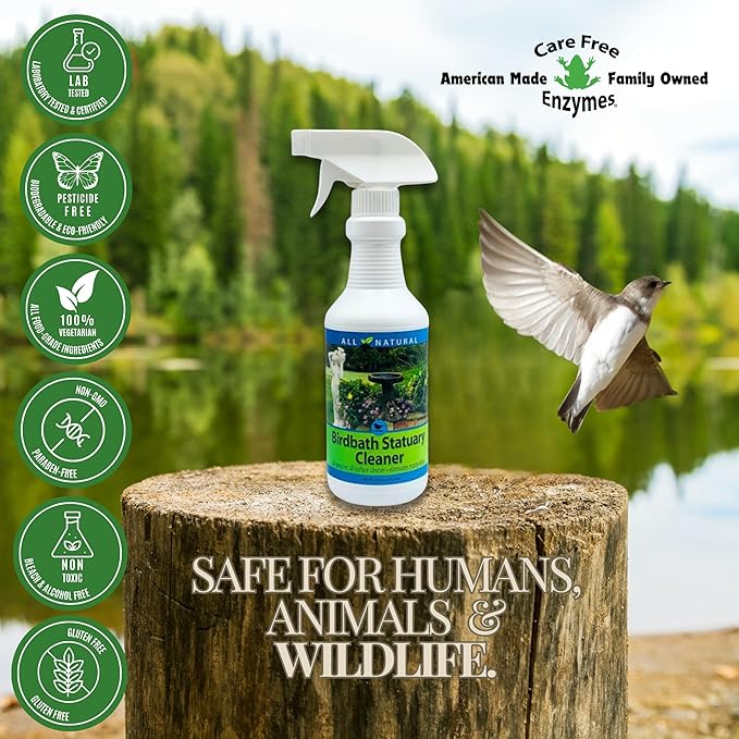 CareFree 98510 Birdbath and Statuary Cleaner, 16-Ounce