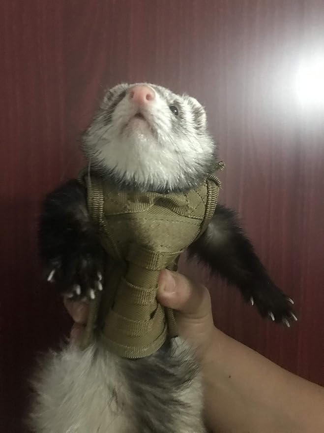 Ferret Clothes Small Animals Harness Military Style Adjustable Shoulder Straps Soft Mesh Comfort Durable Nylon Padded Vest Ferret Guinea Pig Hamster Bunny Kitten Puppy Small Pet Clothes Accessory