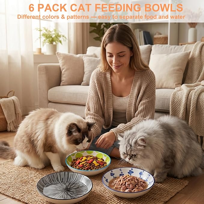 Ceramic Cat Food Bowls,6 Pack Colorful Cat Bowls Set with Metal Storage Stand,Anti-Slip Cats Dishes,Stackable Design,Kitten Plates for Wet and Dry Food Water (6bowls with Metal Holder)