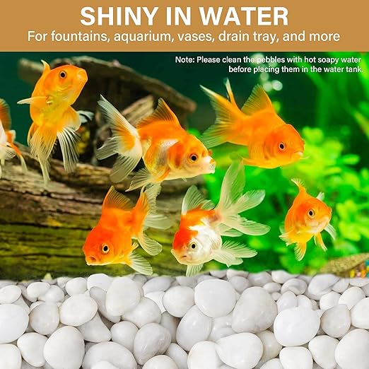 NUPICK 6lb White River Rocks for Plants Indoor, 1-2Inch Pebbles for Vases Fillers, Decorative Gravel for Fish Tank, Natural Polished Stones for Succulent, Bonsai, Landscaping, Bird Baths