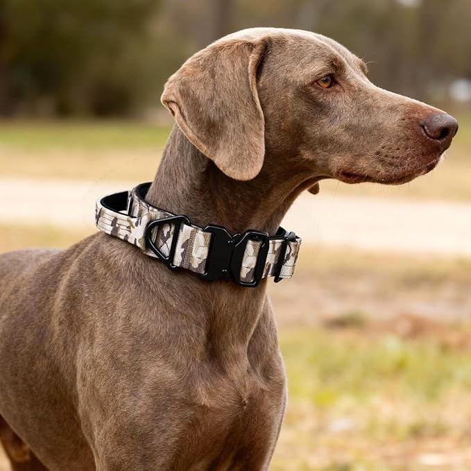 Tactical Dog Collar, Adjustable Military Collar with Handle and Heavy Duty Metal Buckle, Thick Dog Collars for Medium and Large Dogs (Khaki Camouflage, M)