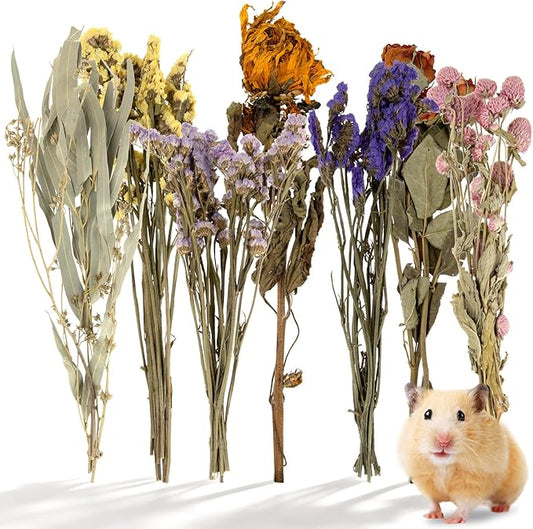 Sukh Hamster Bedding Sprays Habitat Decor - Natural Hamster Cage Accessories with Floral Forage, Layered Small Animal Habitat Decor for Hamster Enrichment, Syrian Hamster Hideout Cage Decor