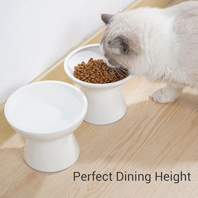 CEEFU Extra Wide Elevated Ceramic Cat Water Bowl - 6.2" Deeper Dish for Whisker Fatigue Relief, 5" Height for Easy Feeding, Lead & Cadmium Free, Durable Raised Cat Bowls, White