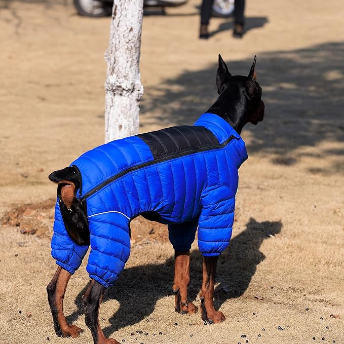 Warm Dog Jacket, 4 Legs Covered Waterproof Windproof Reflective Vest, Zippered Adjustable Outdoor Snow Jacket for Small to Large Dogs, Blue