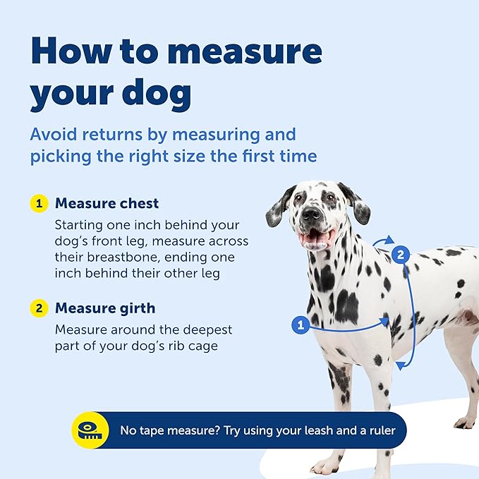 PetSafe Easy Walk No-Pull Dog Harness - The Ultimate Harness to Help Stop Pulling - Take Control & Teach Better Leash Manners - Helps Prevent Pets Pulling on Walks, Small/Medium, Red/Black