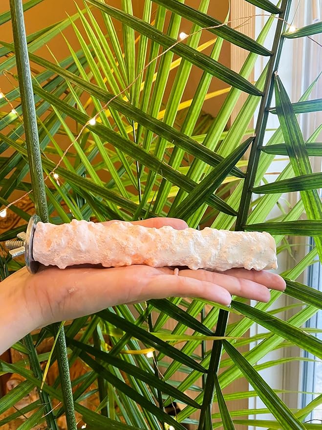 Polly's Edible Cuttlebone Calcium Bird Cage Perch for Budgies, Parakeets, Amazons, Blue & Golds, Macaws and Cockatoos.… (Orange, Medium)