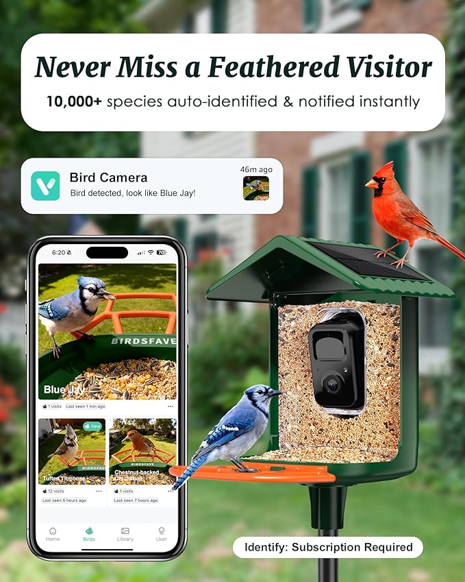 Bird Feeder with Camera Solar Powered, 2K Live Arrival Alert Auto Capture Video with 32GB TF Card, AI Identify Smart Camera Bird Feeder Ourdoor Backyard Gift for Mom Dad Birdlover, 2.4G WiFi