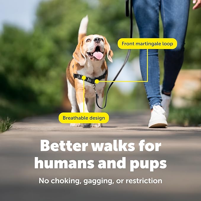 PetSafe Easy Walk Harness for Dogs - Pull-Free Walks - Patented Martingale Loop Design - Front Chest Leash Attachment - Comfort Straps - Breathable Harness Design - Small/Medium, Apple Green/Gray
