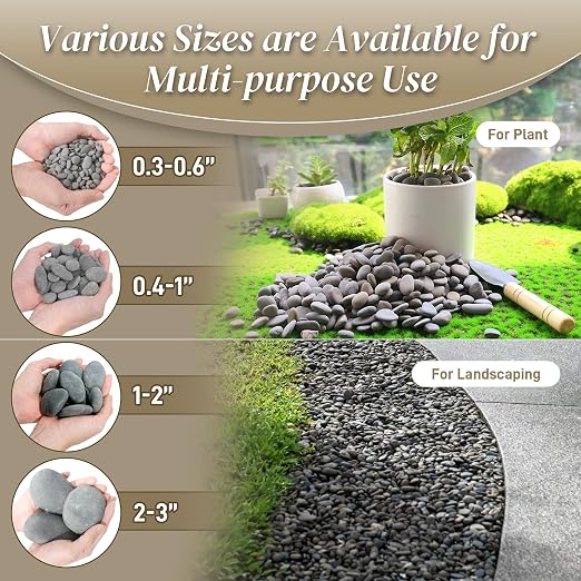 Quibbay 5 lbs Mexican Beach Pebbles, 0.4-1 Inch Natural River Rocks for Indoor Plants Vase Fish Tank Aquarium Fountain, Decorative Stone for Landscaping Garden Paving Walkways Backyard, Grey