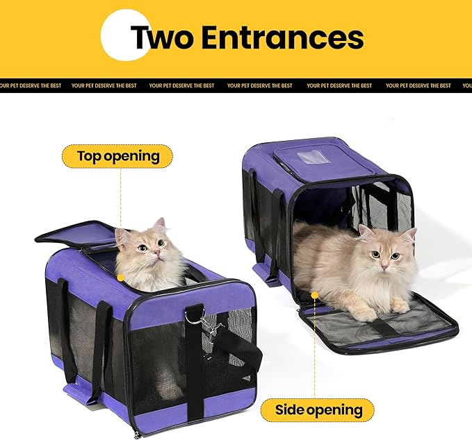 Conlun Cat Carrier Airline Approved, Soft-Sided Dog Carrier with Inner Safety Leash, Pet Transport Carrier for Small-Medium Cats Puppies up to 15 Lbs, Collapsible Travel Kitten Carrier Bag -Purple M