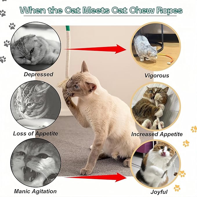 Cat Chew Toys Cat Toys, Silvervine Sticks for Cats Teeth Cleaning Rope, Kitten Teething Dental Care, Kitty for Indoor Cats Increase Appetite, Enhances Oral & Dental Health (20 Pack)