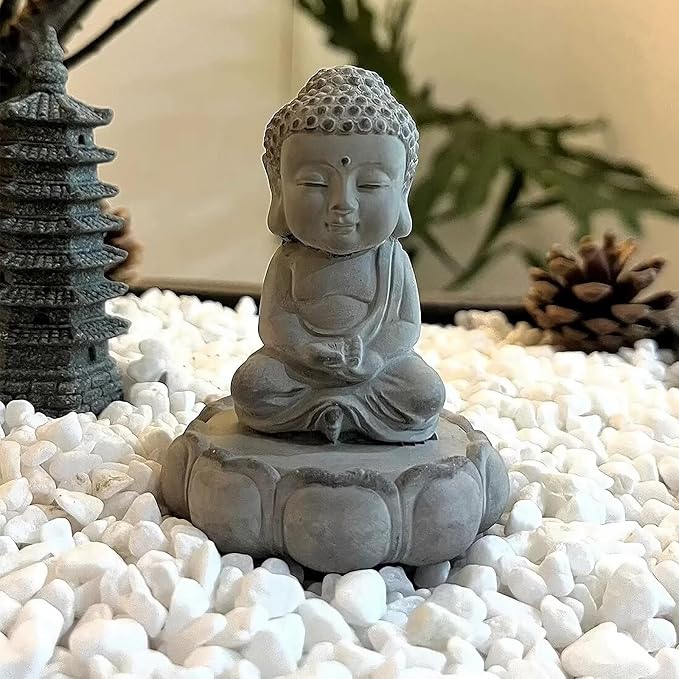FANTIAN 10 lbs White River Rocks for Garden, 0.5-1 Inch Pebbles for Indoor Plants, Decorative Stones for Landscaping, Succulent, Vases, Aquariums and Zen Garden