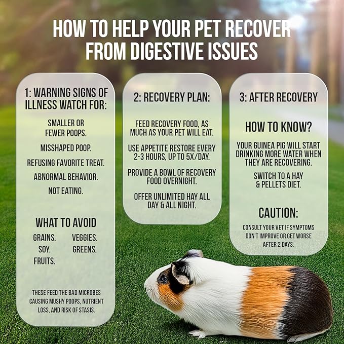 Sherwood Pet Health Guinea Pig Timothy Recovery Food (800g). Grain Free, Soy Free. Great Taste that Guinea Pigs Love with Motility Herbs.