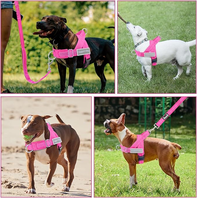 Lukovee No Pull Dog Harness & Leash Set - Heavy Duty Dog Vest Harness with Soft Padded for Medium Large Dogs, Adjustable Reflective Tactical Pet Harness for Easy Walk and Training (S, FU)