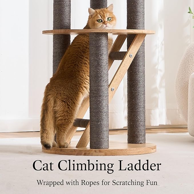 797Audio Wood Modern Cat Tree, 61.5" Tall Cat Tower with Sisal Scratching Posts, Cat Condo, Capsule and Ladder, Solid Wooden Aesthetic Multi-Level Cat Climbing Tree for Large Adult Indoor Cats-Gray