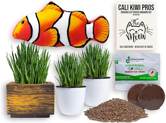 Cat Grass for Indoor Cats – Organic Grass Kit with Interactive Flippy Fish Toy (Black Gold)