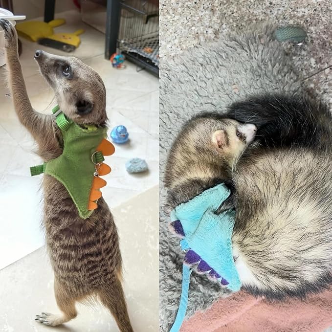 Ferret Harness and Leash Set Cute Dinosaur Design Soft Mesh Small Pet Harness Vest with Safe Bell Walking Clothes for Small Animals Ferret Rabbit Guinea Pig Squirrels (Blue)