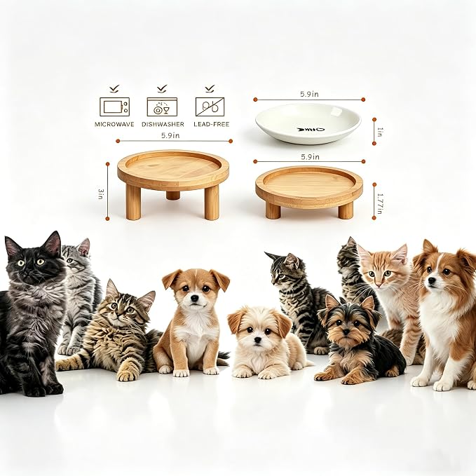 Shallow Elevated Cat Bowls, 2, White (Fish Bone), Bamboo Stand | 5.9 Inch Wide, Ceramic Dishes, Whisker Friendly, Raised Pet Food, Adjustable