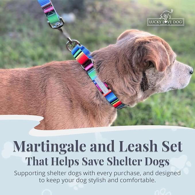 Lucky Love Dog Martingale Dog Collar & Leash - Adjustable, No-Slip, Durable, Comfortable, Soft Webbing, & Stylish Patterned Collar & Leash Set for Male and Female Dogs - Nacho Combo, Large