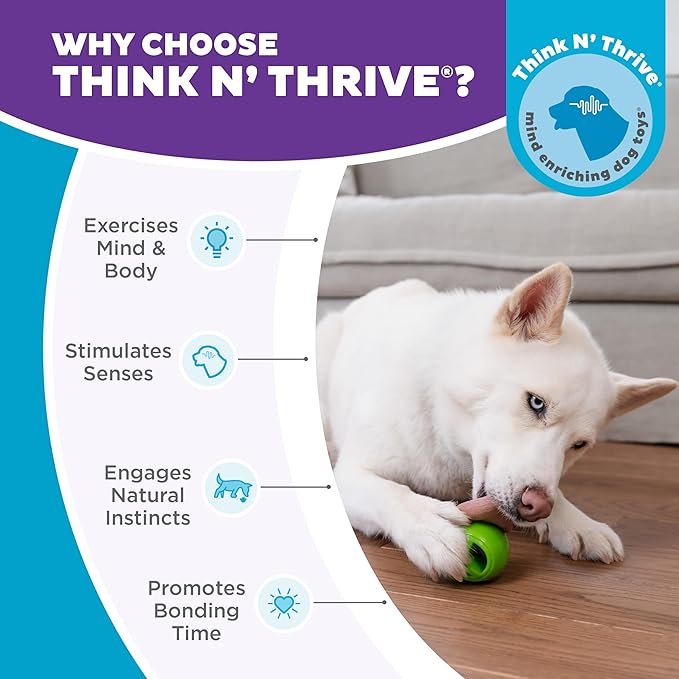 Outward Hound Nooks Peace Interactive Durable Treat-Dispensing Dog Toy, Stuffable Puzzle Ball for Solo Play or Pair with Large Snoop, Mint-Scented, No BPA
