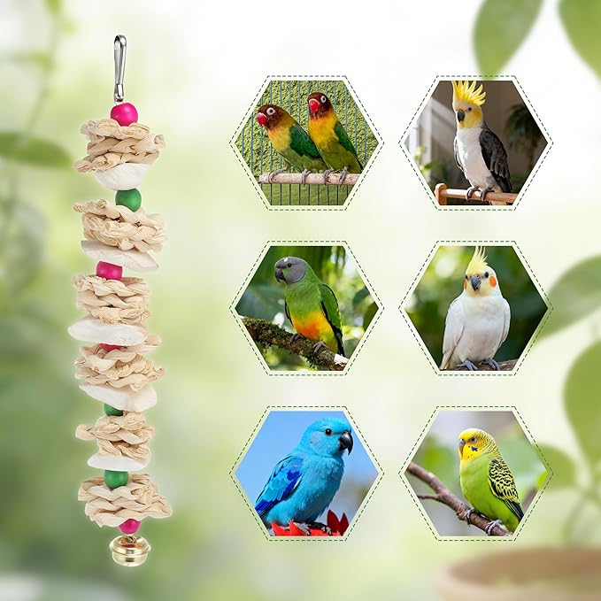 Bird Toys with Cuttlebone, Prevent Destructive Chewing, Grinding Stone for Bird, White, Colorful, 2 Pcs