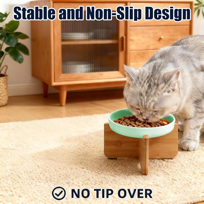 Shallow Elevated Cat Bowls with Bamboo Stand, 6.1 Inch Wide Ceramic Cat Dish Whisker Friendly, 2 Pack Pet Food and Water Plates