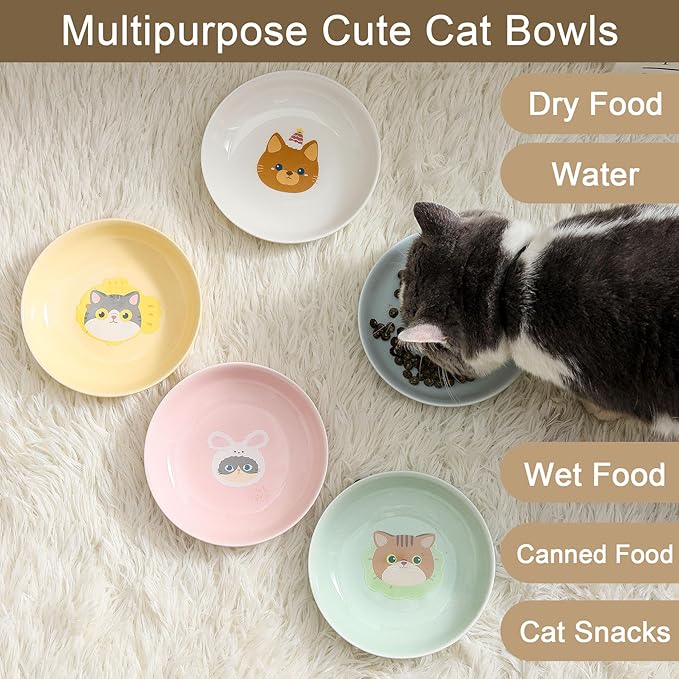 Ceramic Cat Bowls Set - 5.7 inch Cat Food Bowls Whisker Fatigue Friendly, 5 Wide Cats Plates for Wet Food Dry Food Water