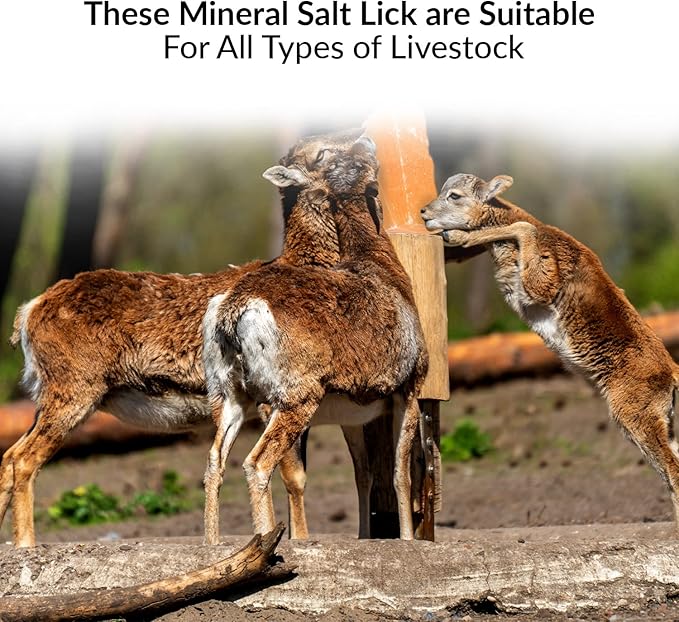 Licking Salt for Deer Block - Animal Licking Mineral Salt Block, Natural Feed Salt Rock for Horse, Deer & Animal, 10 Pound, 2 Counts