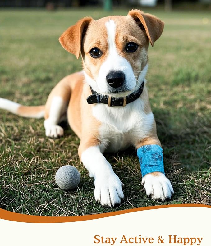 Vet Wrap Cohesive Bandages, Paw Design Tape for Buckets Lead Ropes & Tack Handles, Great for Barn Bags & Daily Carry, 2 Inch x 5 Yards, 8 Rolls, Turquoise Paw
