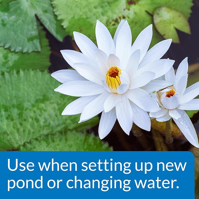 API POND CHLORINE & HEAVY METAL NEUTRALIZER Pond Water Neutralizer 32-Ounce Bottle