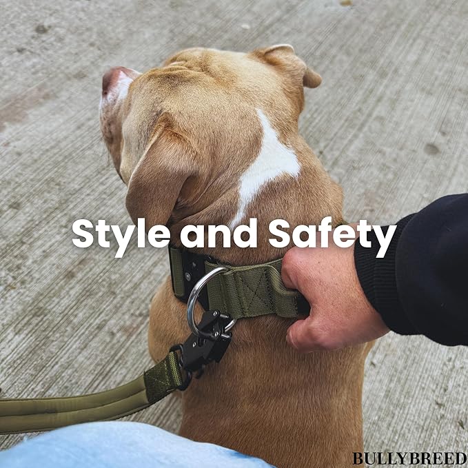 Heavy Duty Dog Collar, Tactical Dog Collar, Dog Collars for Medium Dogs, Waterproof Dog Collar, Dog Training Collar, Quick-Release Metal Buckle, Adjustable Sizes – BULLYBREED (Light Pink, Medium)