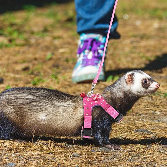 Small Pet Harness Vest and Leash Set with Bowknot and Bell Decor for Gerbil Guinea Pig Squirrel Kitten Outdoor Walking (M, Pink Star)