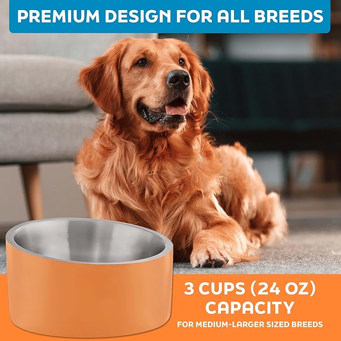 Master Pet Supply Stainless Steel Slanted Dog Cat Food Bowl - 24 oz Heavy Duty - Mango Tango, Double Wall Insulated, Non-Slip Elevated Bowl for French Bulldogs Pugs Cats, Anti Rust Dishwasher Safe