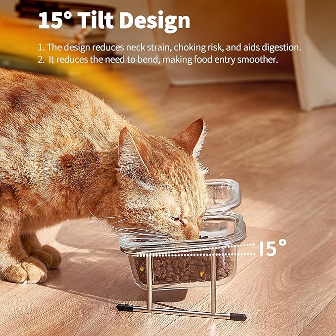 Hannadepot Elevated Cat Bowls, 15° Tilted Glass Raised Cat Food Bowl with Stainless Steel Stand, 2 Large Capacity Glass Cat Bowls and 4 Anti Slip Feet, Suitable for Cats and Little Dogs