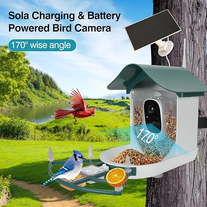Smart Bird Feeder with Camera,AI Identify Bird Species,Auto Record 2K Video in Backyard Garden,Live View,Solar Powered Charging,Ideal Gifts for Family and Lovers (Blackish Green)