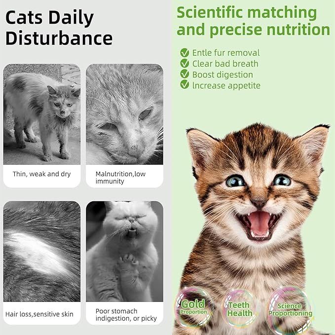 Cat Toys 6Pack Kitten Grass Treat Stick Catnip Toy with Silvervine for Indoor Kitten Toys Kitten Grass Sticks for Teeth Cleaning Cat Snack for Kitty Dental Care