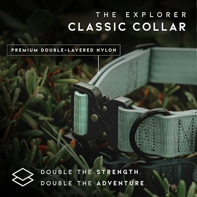 Made to ROAM Premium Explorer Control Collar - Adjustable Heavy Duty Nylon Dog Collar with Quick-Release Metal Buckle and Handle (New York Afterlight, Control Size 2.5)
