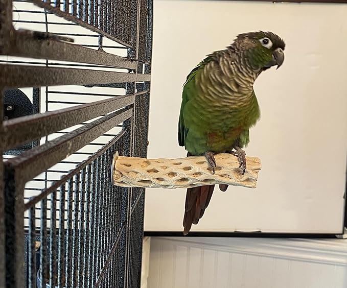 Polly's Pet Products Manu Mineral Bird Perch Size Small 6in