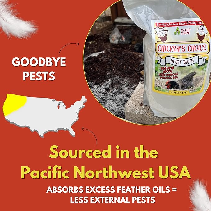 Chicken's Choice Chicken Dust Bath, 6 lb Natural Volcanic Ash Dust Bath for Chickens. Dust Mix for Healthy Chickens, Chinchillas, Small Animals. Made in The USA. Coop Accessories (1, Volcanic Ash)